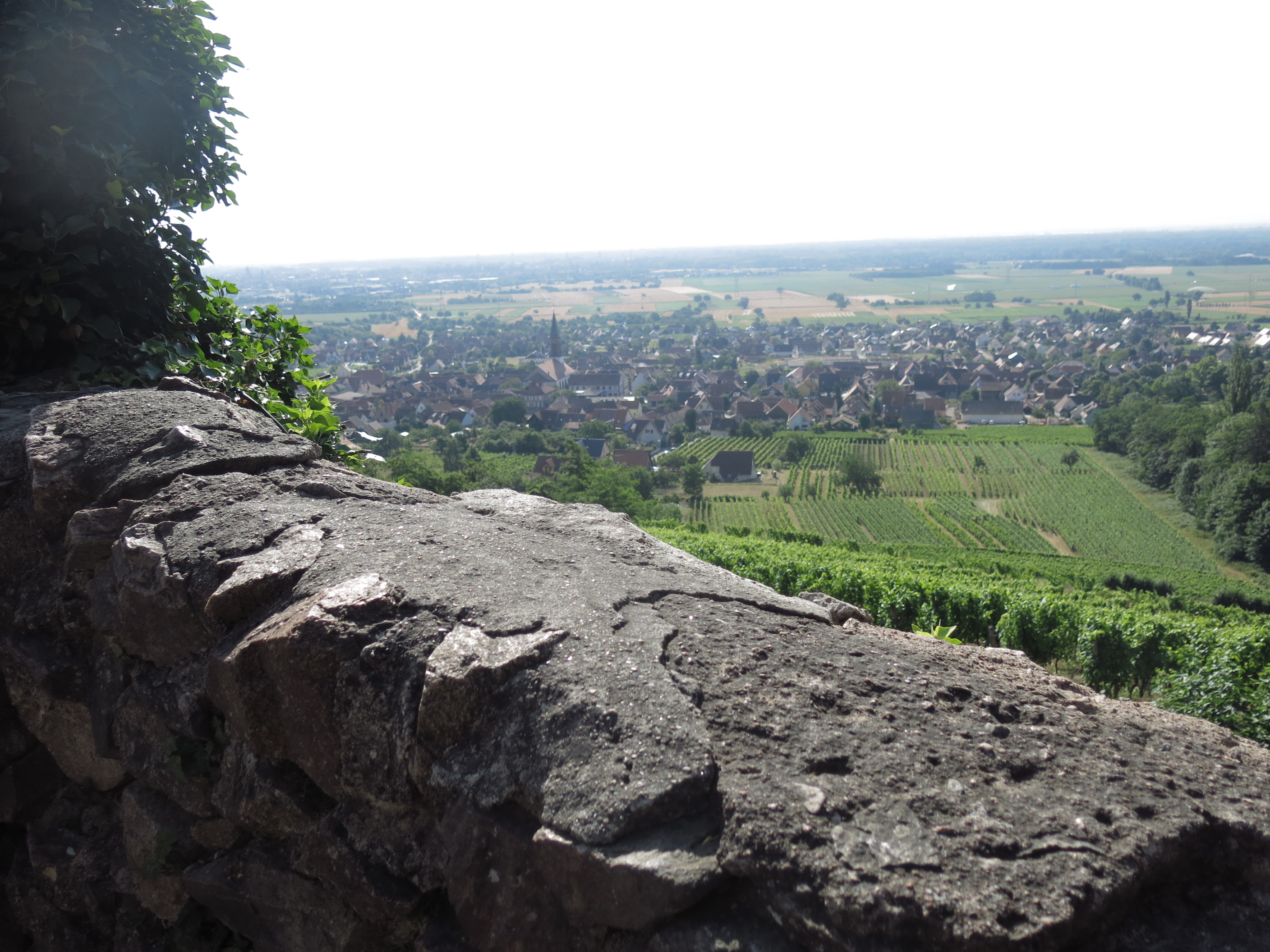 Avec vue imprenable sur la plaine d'Alsace ! 