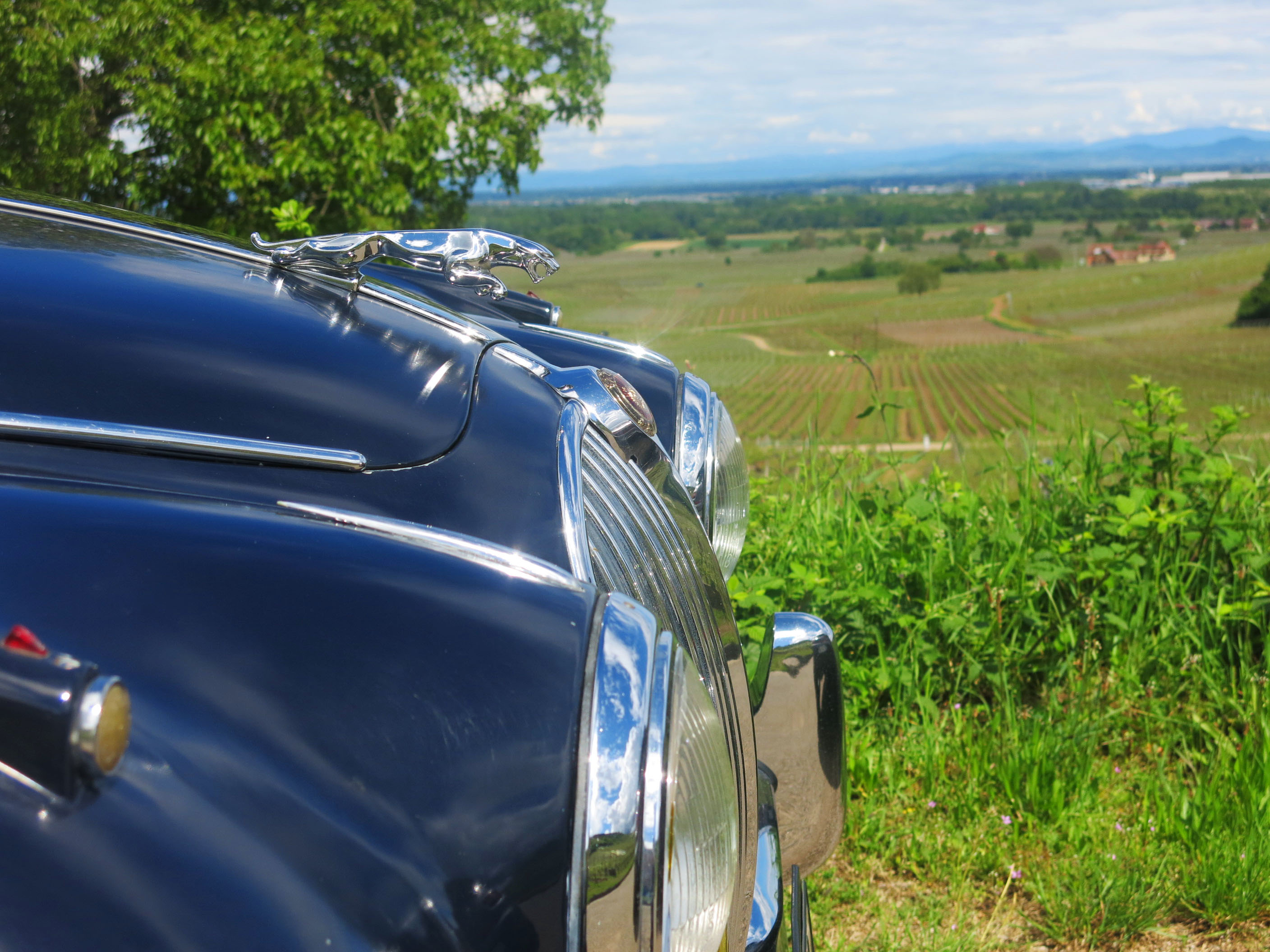 Auto Rétro Vino, évènement autour de la voiture ancienne et du vin 21