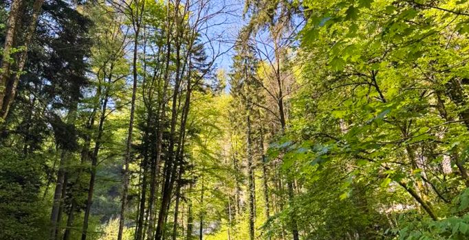 Randonnée à Moutier (Suisse)
